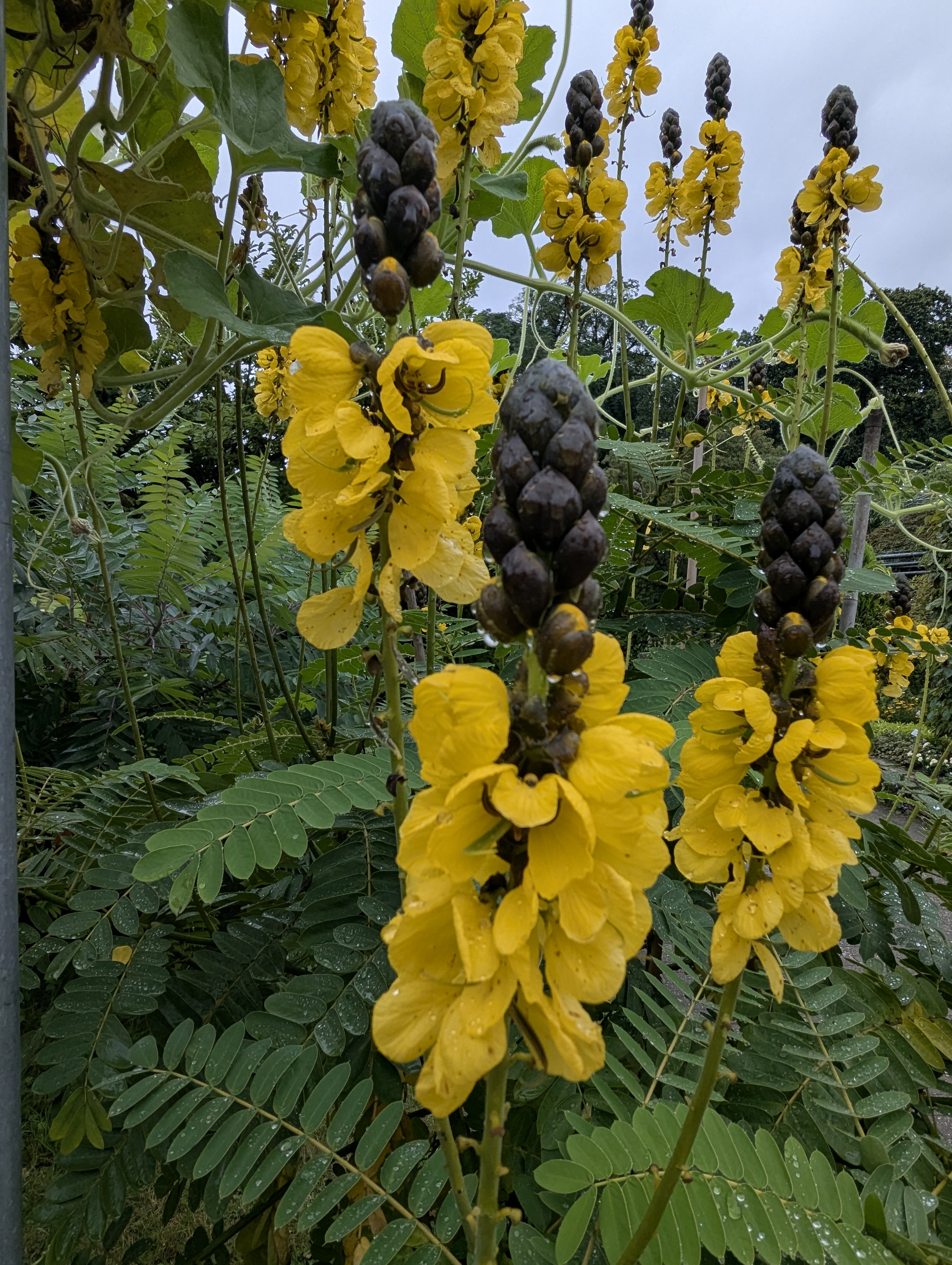 Botonic Gardens, Muenster, Germany
